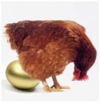 Beeld van een kip met een gouden ei als metafoor voor potentieel en ontwikkeling.
