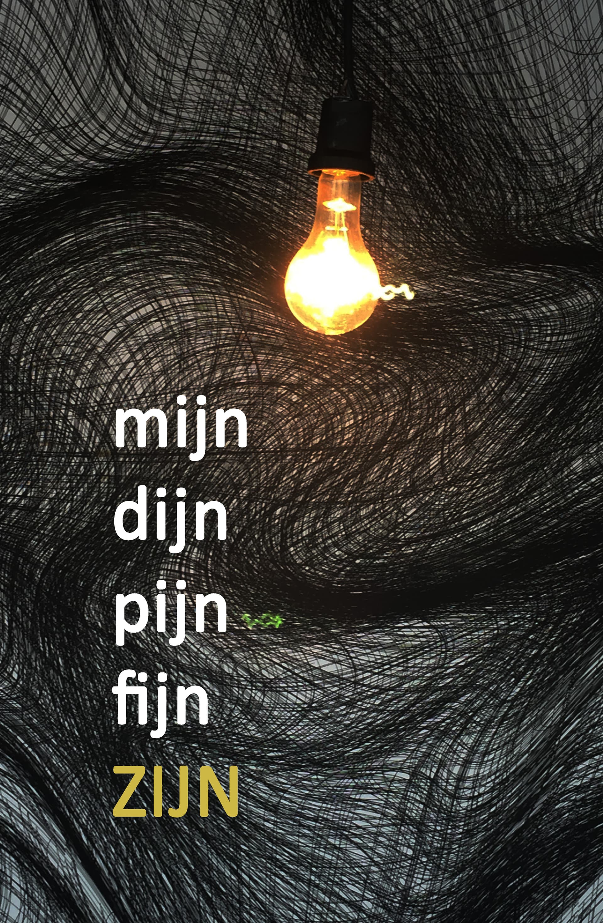 Gedicht met de woorden mijn, dijn, pijn en fijn zijn.